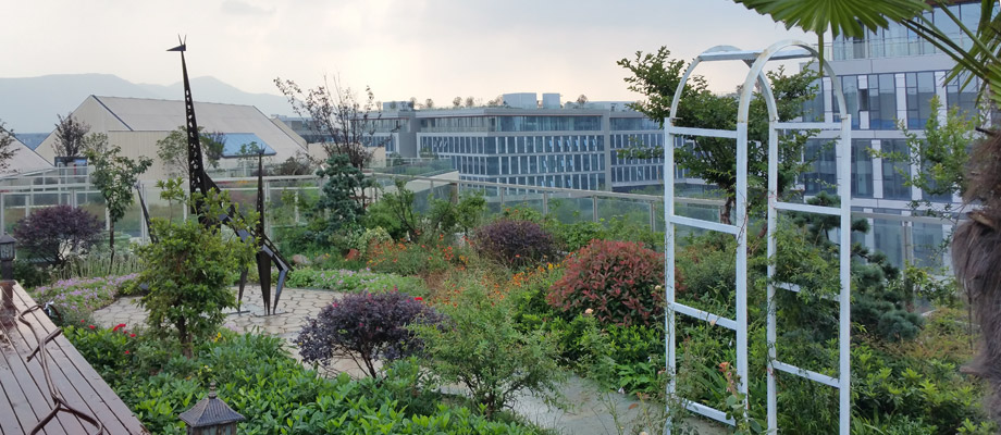 南京萬通城市建設(shè)設(shè)計院弱電系統(tǒng)項目案例。